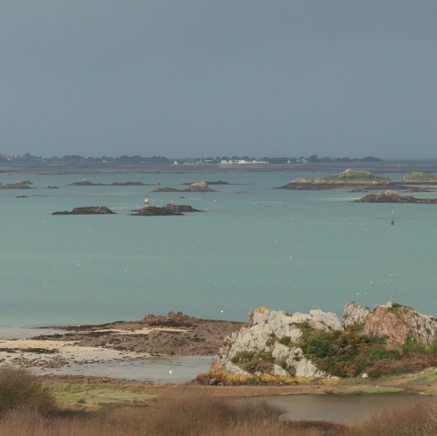 L1000632.JPG