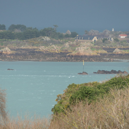L1000636.JPG