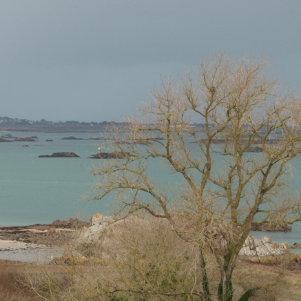 L1000638.JPG